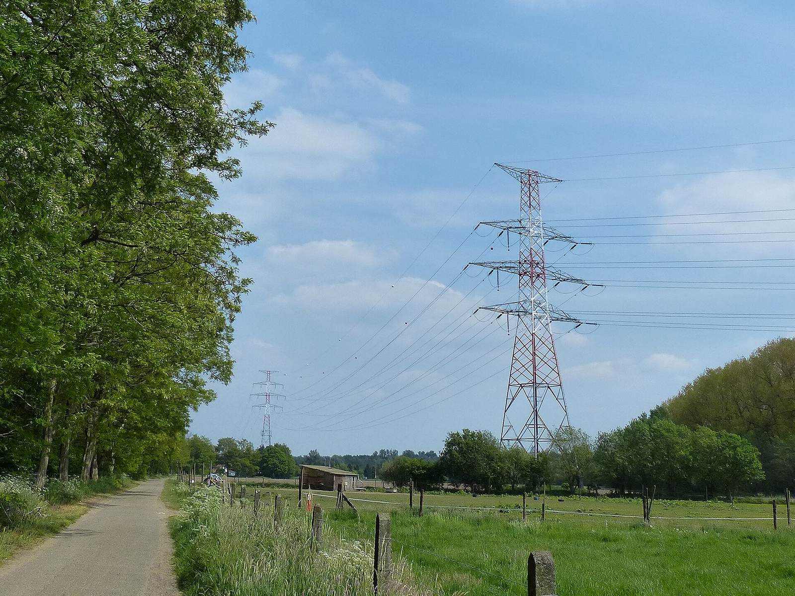Hoogspanningsmasten tussen bomen en weilanden in Ranst, België, gefotografeerd in 2014