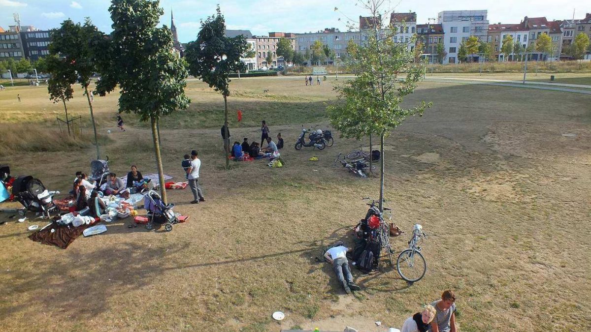 Bezoekers en bomen in Park Spoor Noord in Antwerpen; archieffoto